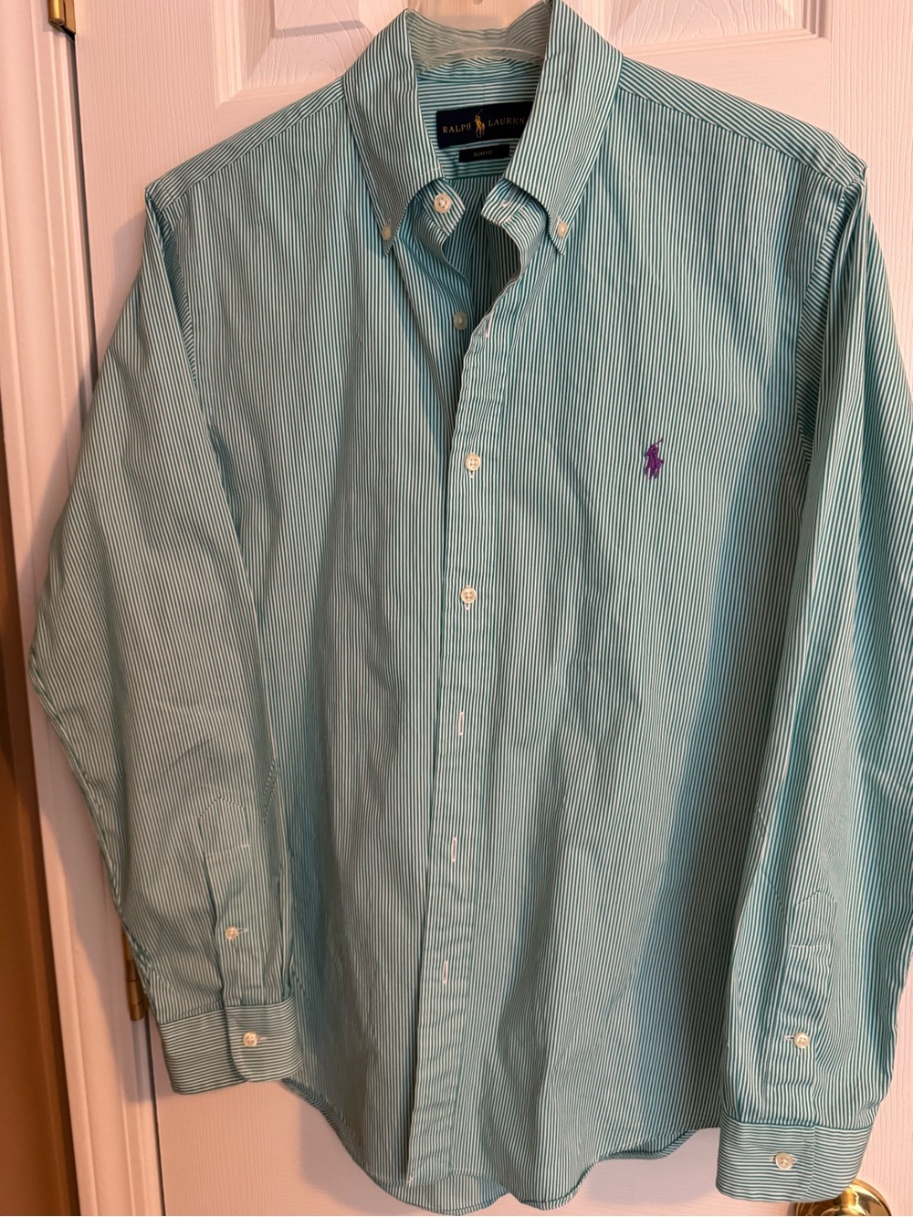 Ralph Lauren Men’s Green Stripe Button-Down Shirt